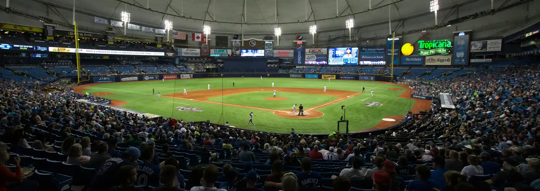 Tampa Bay Rays