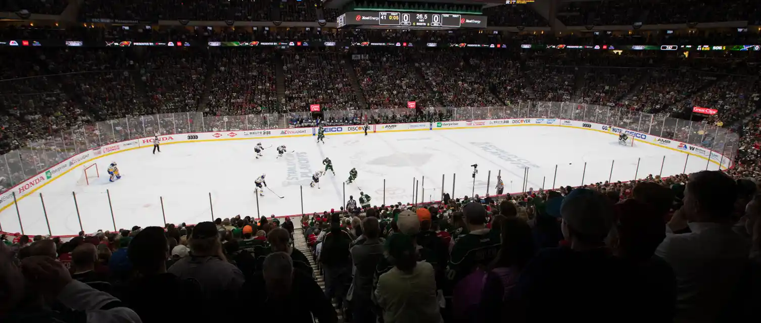 St. Louis Blues at Minnesota Wild