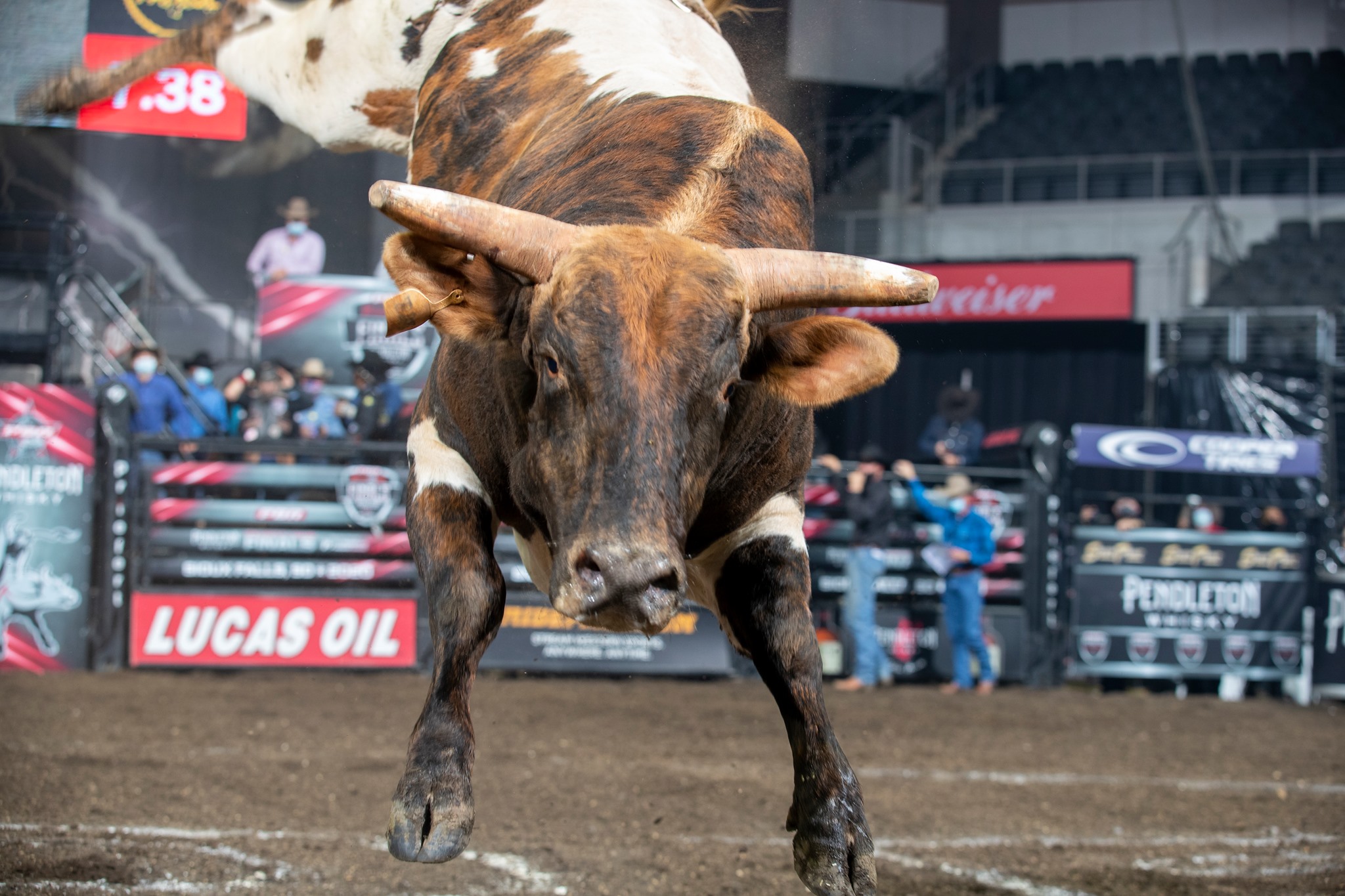 PBR: Pendleton Whisky Velocity Tour