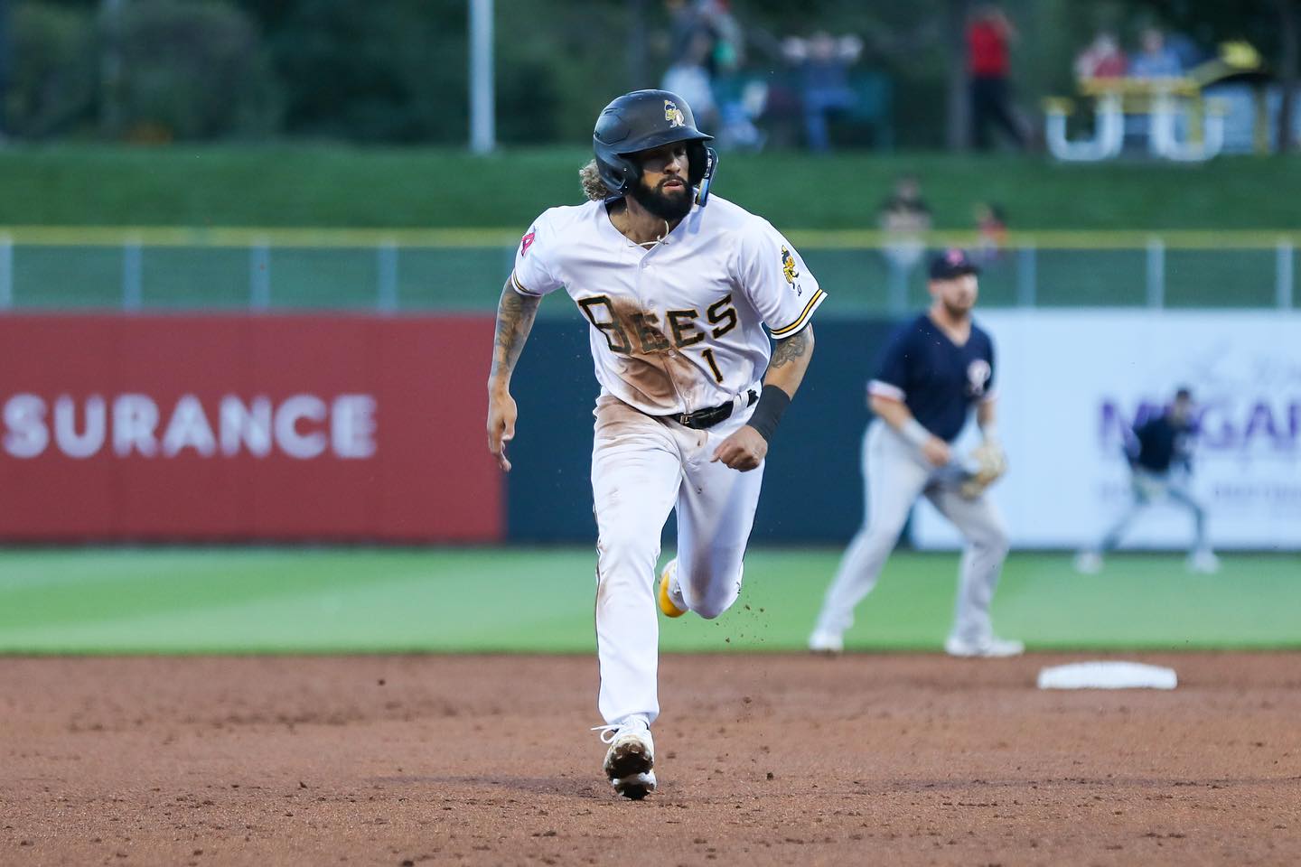Salt Lake Bees