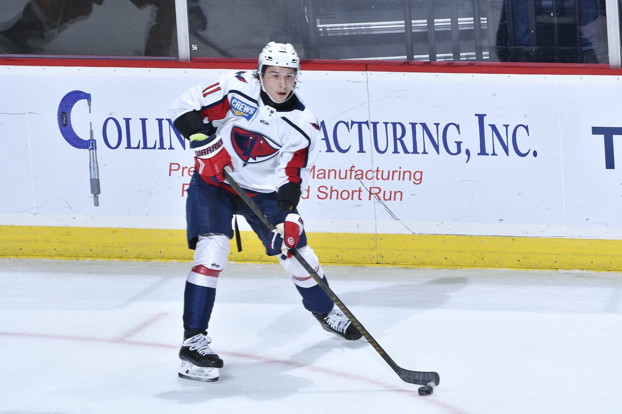 Orlando Solar Bears at South Carolina Stingrays