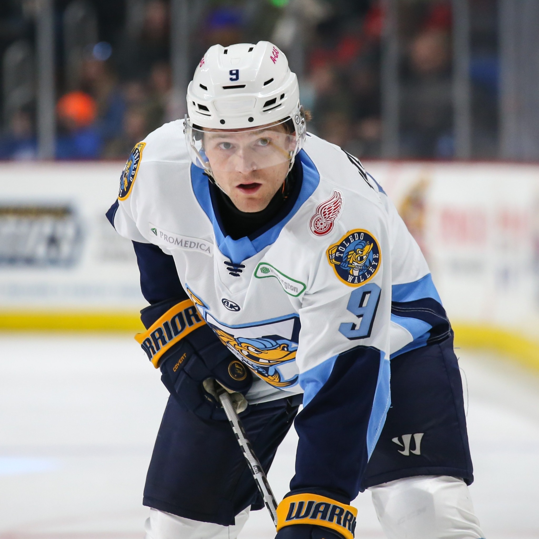 Rapid City Rush at Toledo Walleye