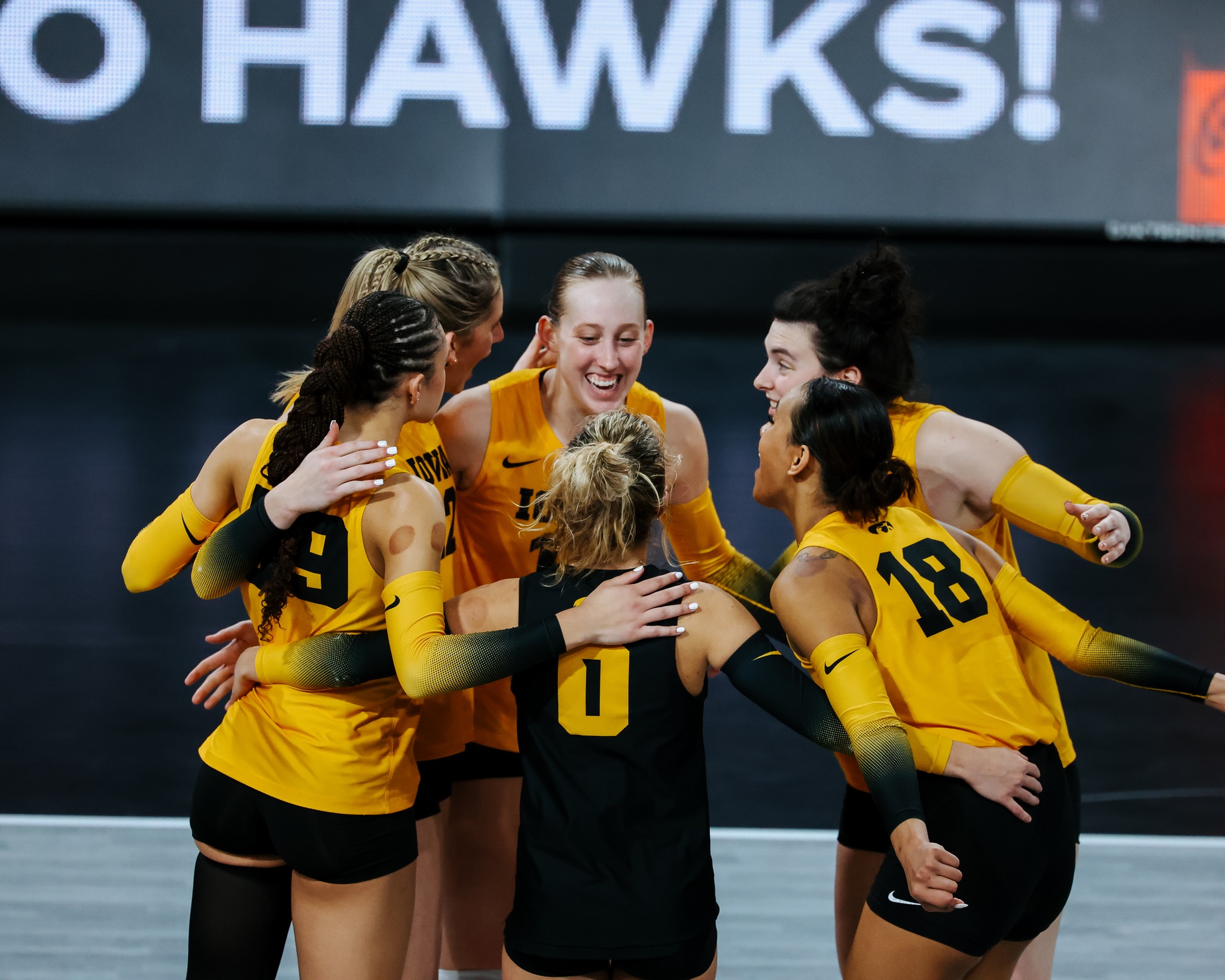 UCLA Bruins at Iowa Hawkeyes Womens Volleyball
