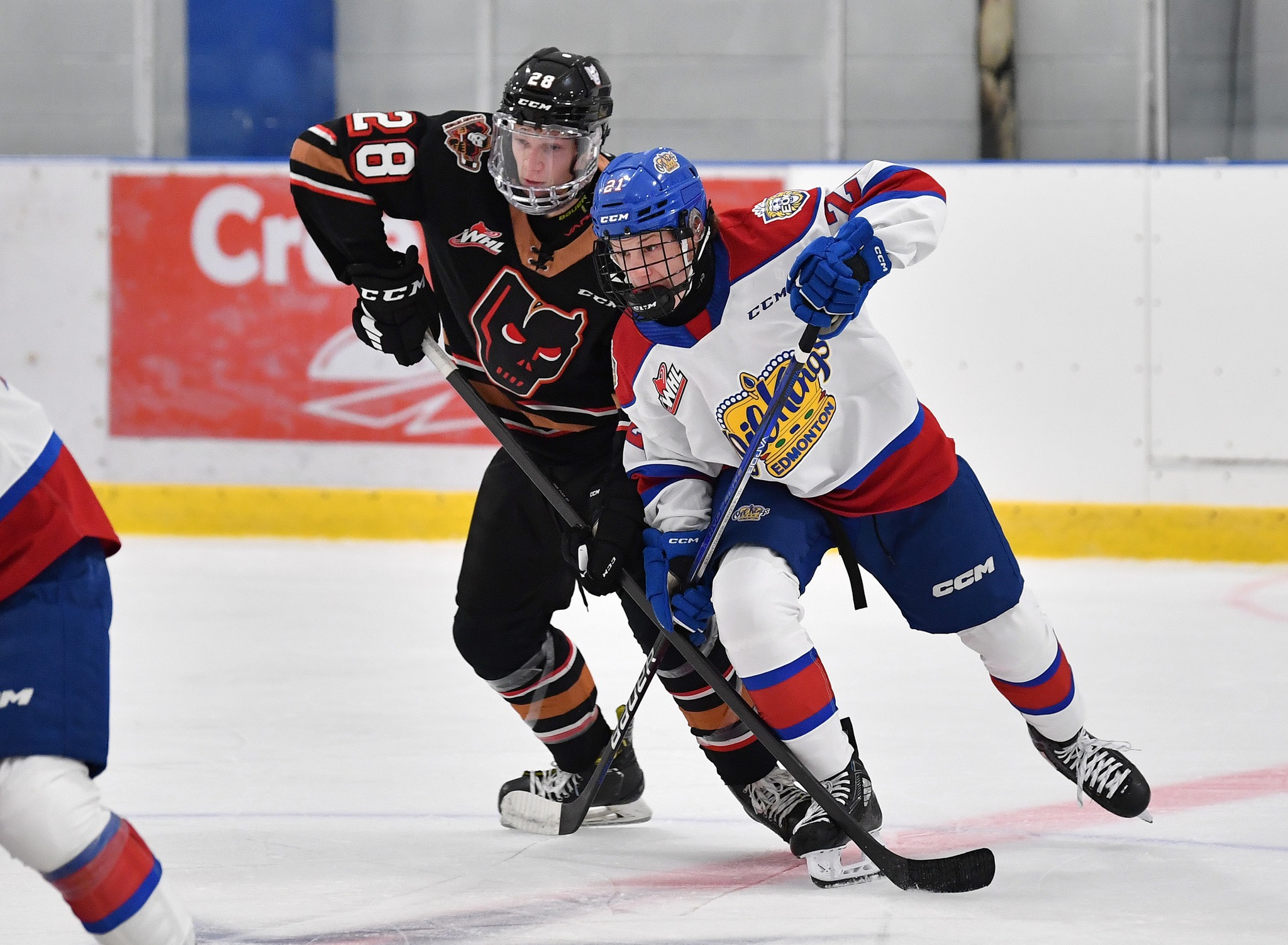 Edmonton Oil Kings at Calgary Hitmen