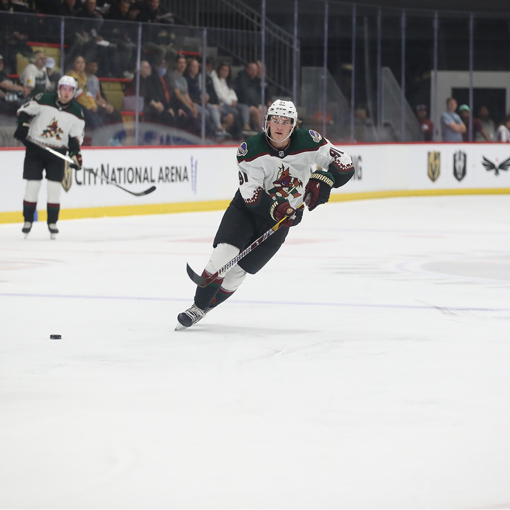 Tucson Roadrunners