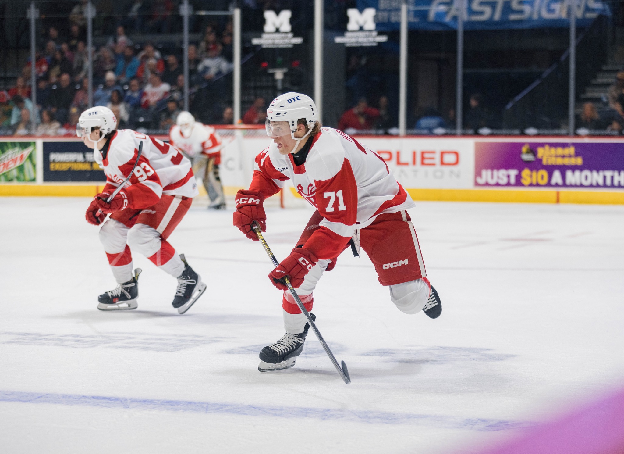 Rockford IceHogs at Grand Rapids Griffins
